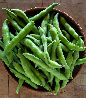WANCY Broad Beans/Chikkudu Seed(25 per packet)