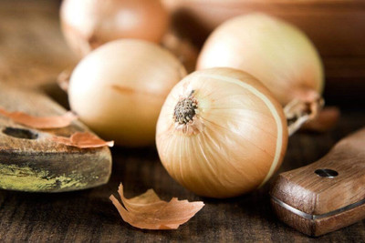 Qualtivate RES-5A Giant Onion Chalcedone Seed(500 per packet)