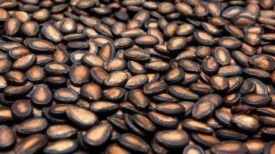 MAA Watermelon, Tarbooz Seed(30 per packet)