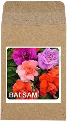CYBEXIS Balsam Flower Seed(100 per packet)