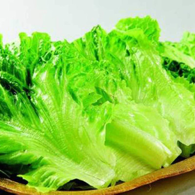 CYBEXIS F19Romaine Lettuce Seeds2000 Seeds Seed(2000 per packet)