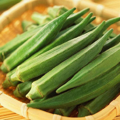 ActrovaX Okra, Nutritious Vegetable[2000 Seeds] Seed(2000 per packet)