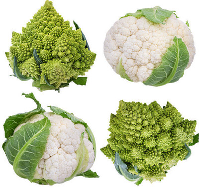 Ariston Thermo white cauliflower,gobhee seeds Seed(40 per packet)