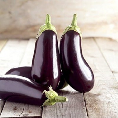 KNESSiN Brinjal Seeds - Black Beauty-[1gm] Seed(250 per packet)