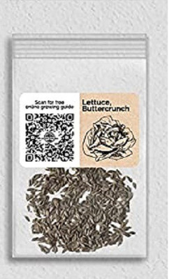 VibeX XLR-91 - Buttercrunch Lettuce - (1350 Seeds) Seed(1350 per packet)
