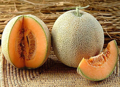 Cloud Farm Muskmelon Hybrid Seed(45 per packet)