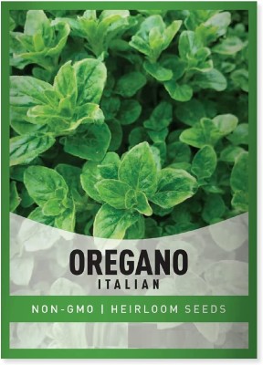 Biosnyg Oregano Italian Seed(500 per packet)