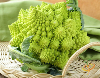 CYBEXIS Broccoli Varieties-'Romanesco'2000 Seeds Seed(2000 per packet)