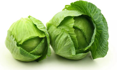 MYLAWN Organic green cabbage (पत्ता गोभी के बीज) Seed(500 per packet)