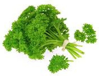CYBEXIS XLR-40 - Parsley Moss Curled - (250 Seeds) Seed(250 per packet)
