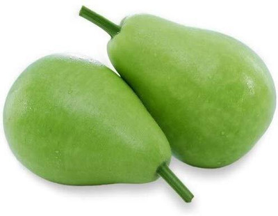 Qualtivate GBPT-2A Round Bottle Gourd Bulb Seed(50 per packet)