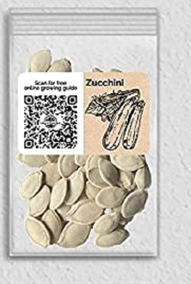 Biosnyg QIQ-99 Zucchini-[400 Seeds] Seed(400 per packet)