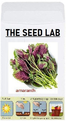 CYBEXIS Organic Vegetable Seeds-Red Amaranthus1400 Seeds Seed(1400 per packet)
