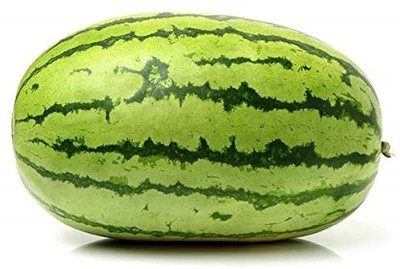 KNESSiN Farm Watermelon -[100 Seeds] Seed(100 per packet)