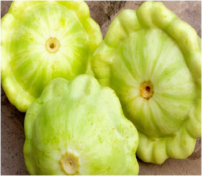 KNESSiN Sow and Grow Green Tint Summer Squash Seeds for Kitchen Gardening - (200 Seeds) Seed(200 per packet)