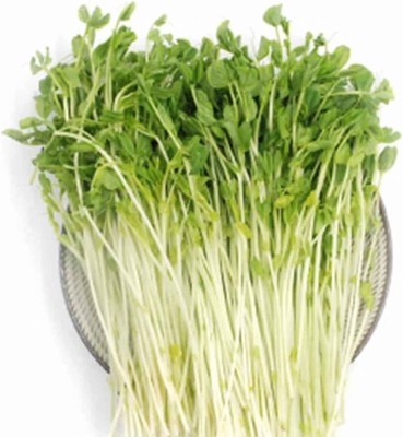 KNESSiN Watercress Seed(200 per packet)