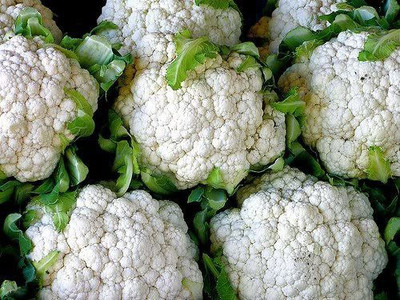 CYBEXIS Fast Germination Cauliflower seeds2000 Seeds Seed(2000 per packet)