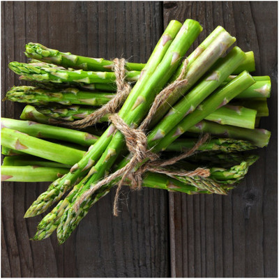 KNESSiN Herb Seed(100 per packet)