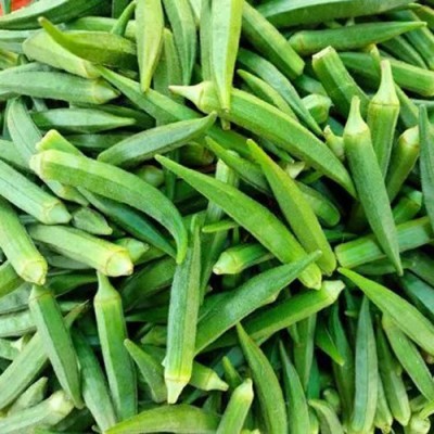 SeeGreen F1 Okra Seeds, Exotic Lady Finger Seeds,Bhindi Seeds, Okra Hybird Seed(40 per packet)