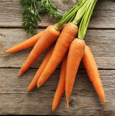 SeedHaven Hybrid Carrot Seeds( 30 Seeds ) Seed(30 per packet)