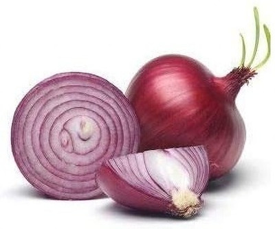 Qualtivate DXL-2AT Red Shortday Burgundy Onion Seeds Seed(500 per packet)
