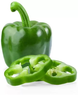 MAA Capsicum Green, Bell Pepper Seed(76 per packet)