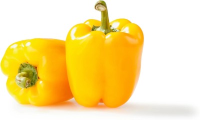 Quentova शिमला मिर्च Capsicum Yellow/(Shimla Mirch)-5U-HUA Seed(100 per packet)