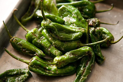 KNESSiN Heirloom Shishito Pepper Vegetable Seeds For Planting-(600 Seeds) Seed(600 per packet)