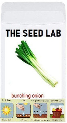 CYBEXIS Organic Vegetable Seeds-Bunching Onion2000 Seeds Seed(2000 per packet)