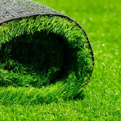 PMA Maxican Carpet Grass Seeds, Organic Seeds For Garden Seed(9000 per packet)