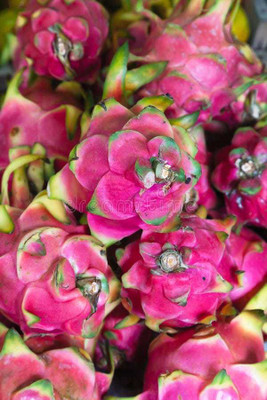 Oliver BEST QUALITY F1 HYBRID DRAGON FRUIT SEEDS Seed(153 per packet)