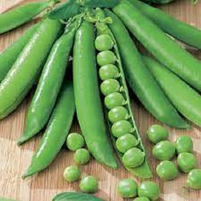 Aywal Organic Green Peas Seed(275 per packet)