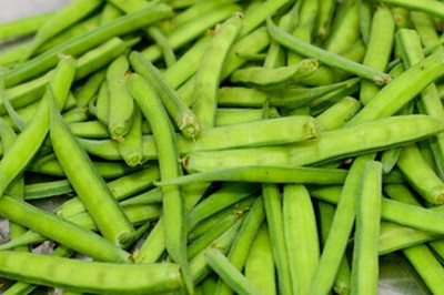 XOLDAA CLUSTER BEANS SEEDS Seed(30 per packet)