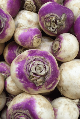 MYLAWN Purple White Top Turnip Seed(1500 per packet)