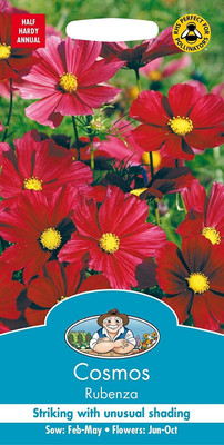 CYBEXIS Cosmos Rubenza Seed(50 per packet)