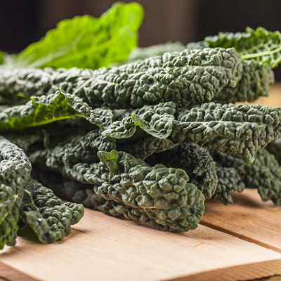 WILLVINE HUA -IX Lacinato Kale Seeds - Non-GMO Seeds [10g] Seed(3000 per packet)