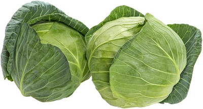 WILLVINE ROX -IV Golden Acre Cabbage Seed [10g] Seed(3000 per packet)