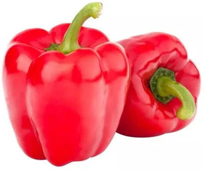VASUDHA Capsicum Red Bell Pepper Seed(800 per packet)