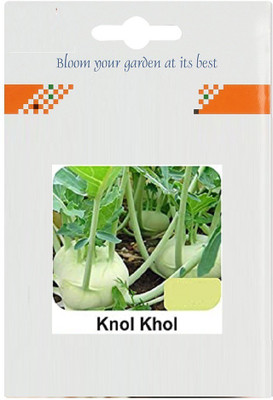 CYBEXIS Knol Khol1000 Seeds Seed(1000 per packet)