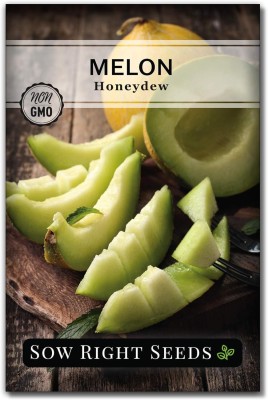 Qualtivate HUA-2A Muskmelon Honeydew Honey Melon Seed(200 per packet)