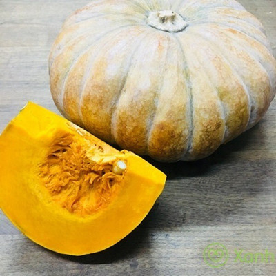 Farmonix High Quality Pumpkin Kashiphal vegetables Seed(1000 per packet)
