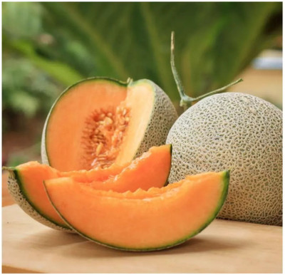 Avysa Extra Sweet Best Quality Musk Melon Seed(100 per packet)