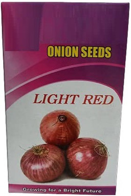 WILLVINE TLX-1010 Light Red Onion Sowing Purpose Seed(1000 per packet)