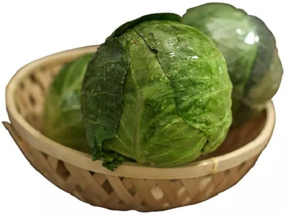 MYLAWN Cabbage round (पत्ता गोभी के बीज) Seed(500 per packet)