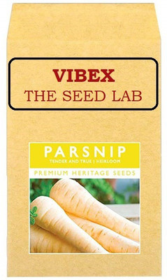 CYBEXIS Parsnip Hybrid Seeds 2000 Seeds Seed(2000 per packet)