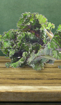KNESSiN Kale Seed(500 per packet)