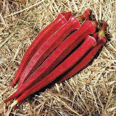 KANAYA Okra Bhindi Hybrid Seed(10 per packet)