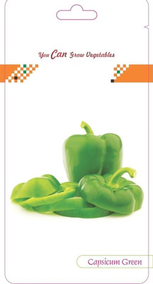 CYBEXIS F1 Hybrid Green Capsicum Seeds600 Seeds Seed(600 per packet)