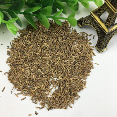 Epazo trailing verbena Seed(70 per packet)
