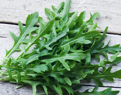 CYBEXIS NDIR-68 - Arugula for Planting - (2250 Seeds) Seed(2250 per packet)